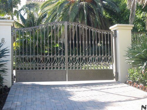 A wrought iron gate with a palm tree in the background