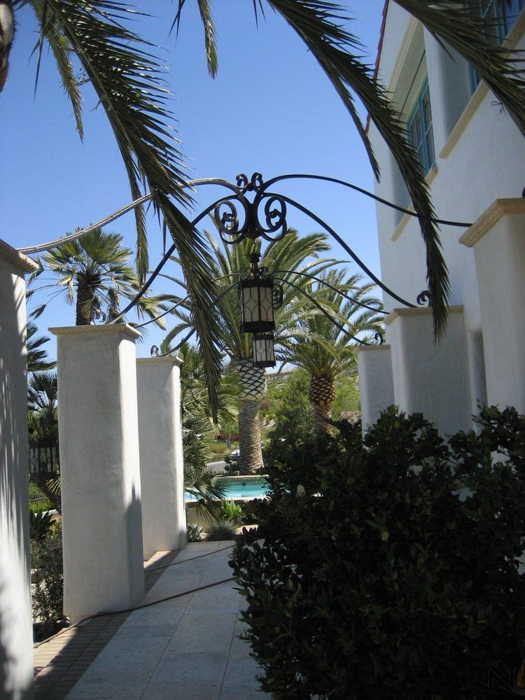 A white building with a palm tree in front of it