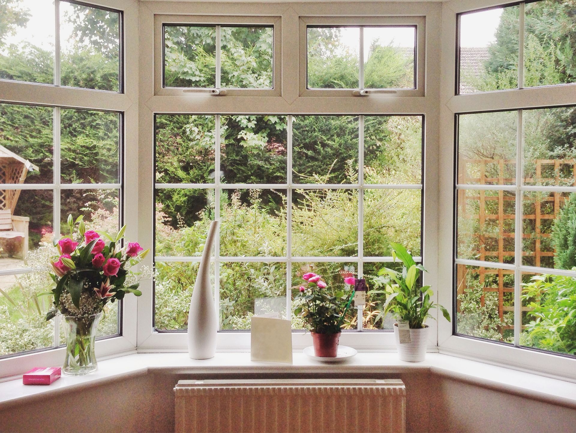 A window with a view of a garden and flowers on the window sill.
