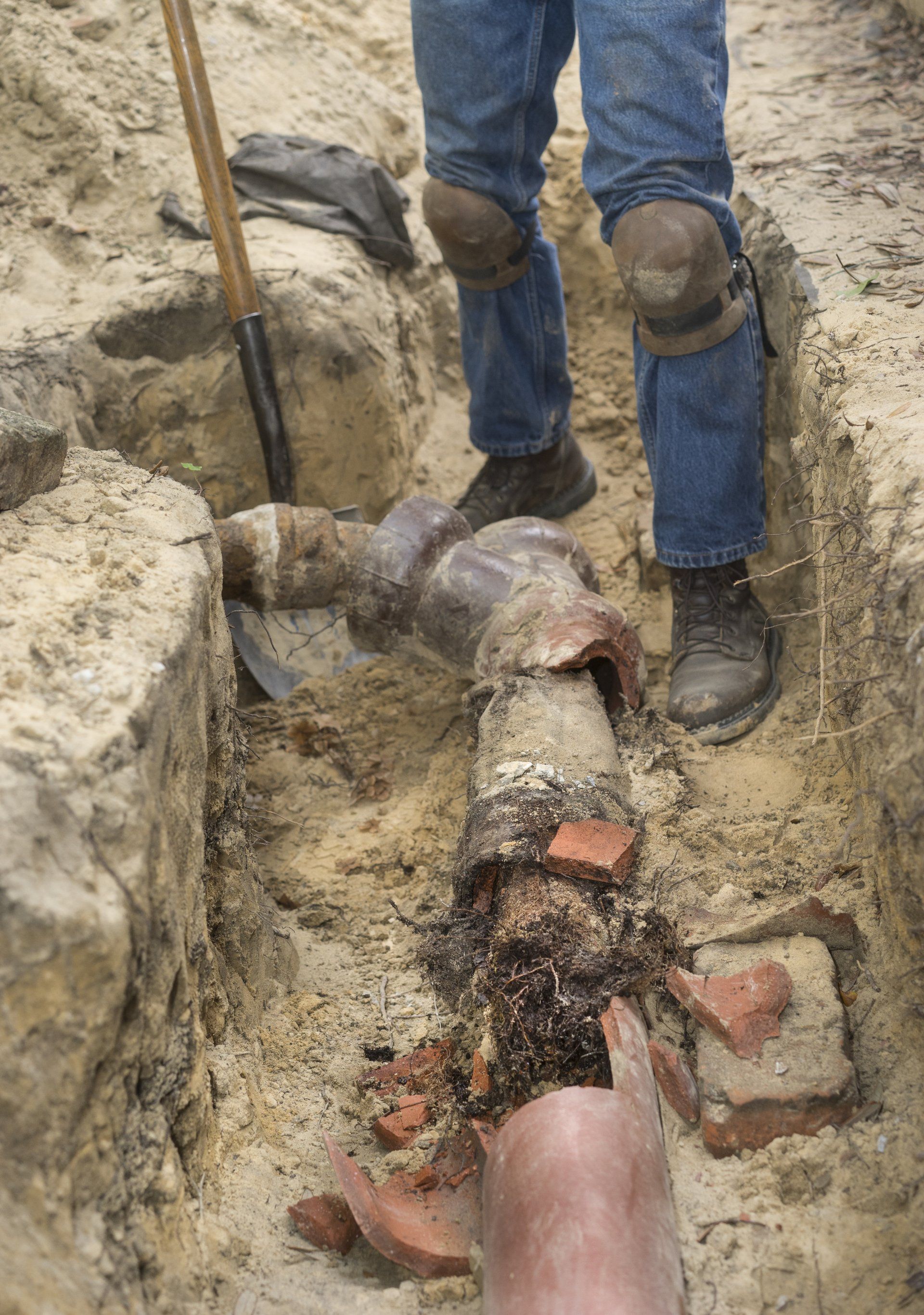drain cleaning services near me