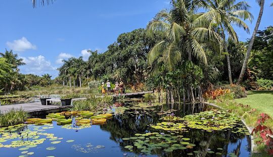 Collier County, FL Plumber