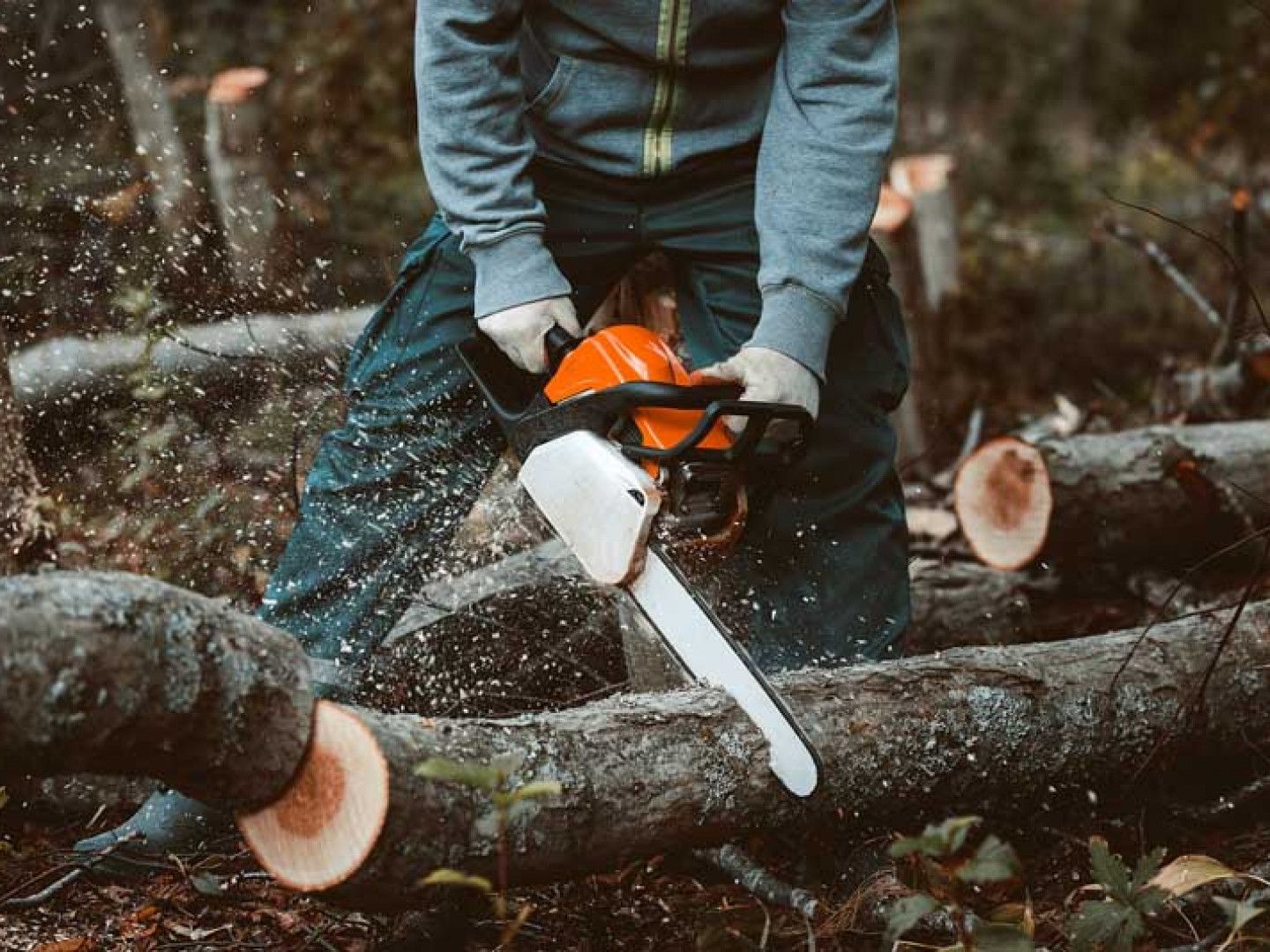 Person cutting a log with an orange chainsaw in a forest, sawdust flying.