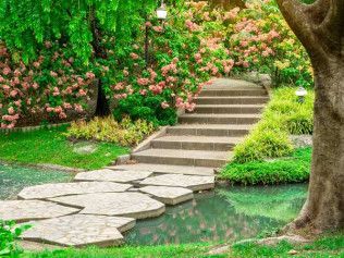 Stone path and stairs through a lush garden with pink flowers, leading to a tree.