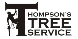 Thompson's Tree Service logo with a silhouetted tree worker climbing a tree next to a large black 