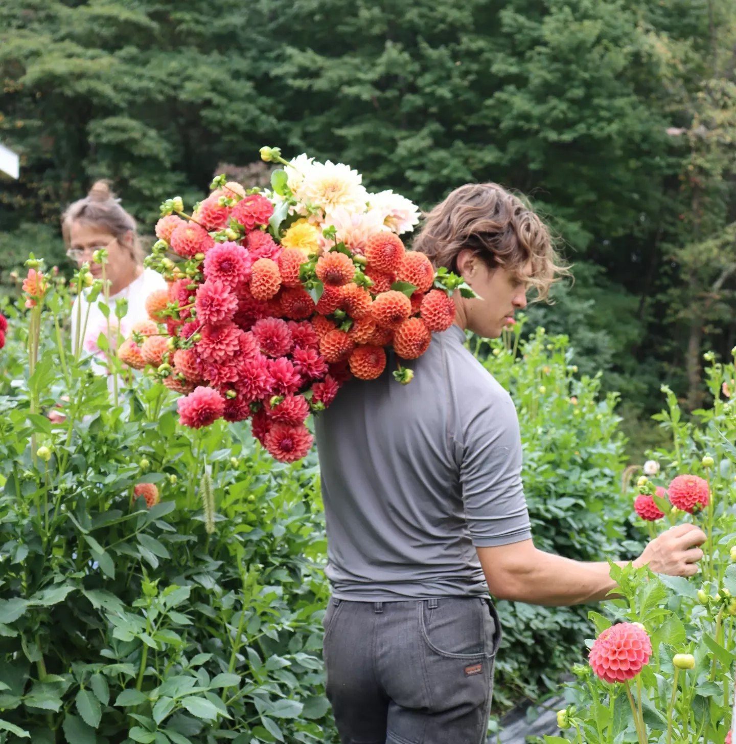 A man is carrying a large bouquet of flowers on his back