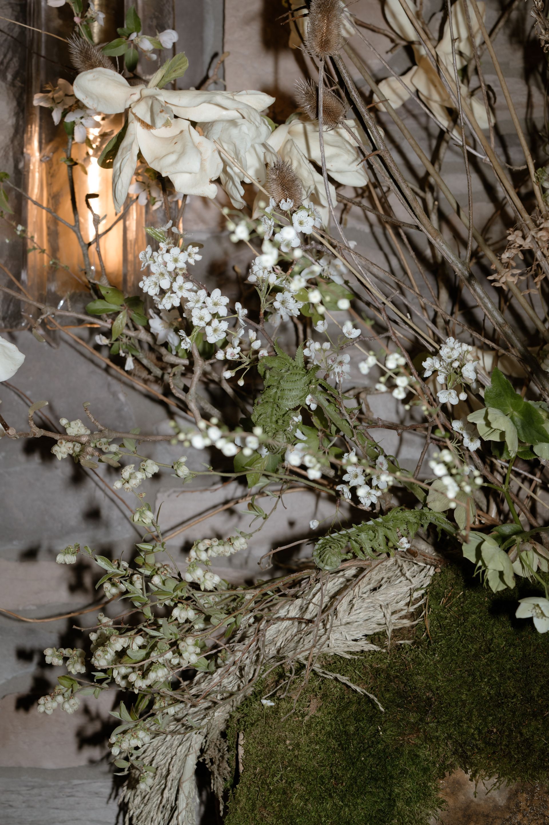 A close up of a bunch of flowers on a tree branch.