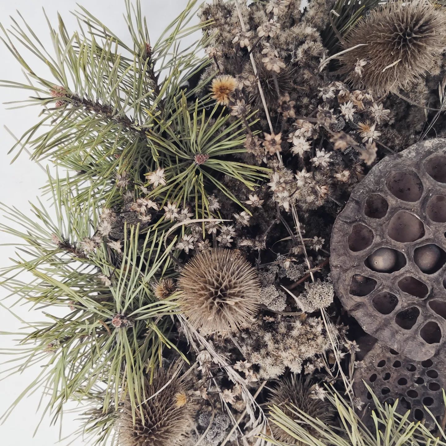 A bunch of dried flowers and pine needles on a table