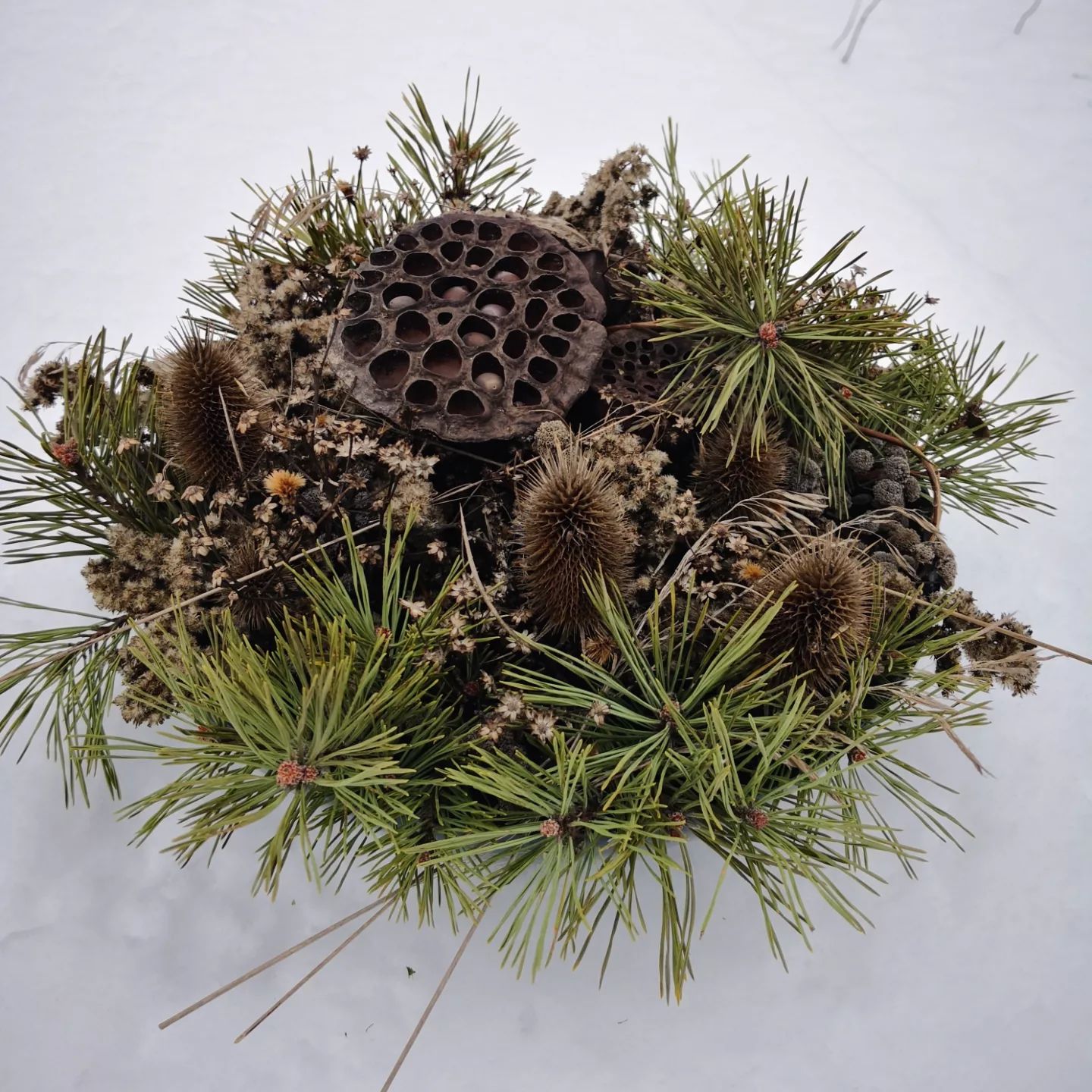 A wreath of pine cones and flowers in the snow
