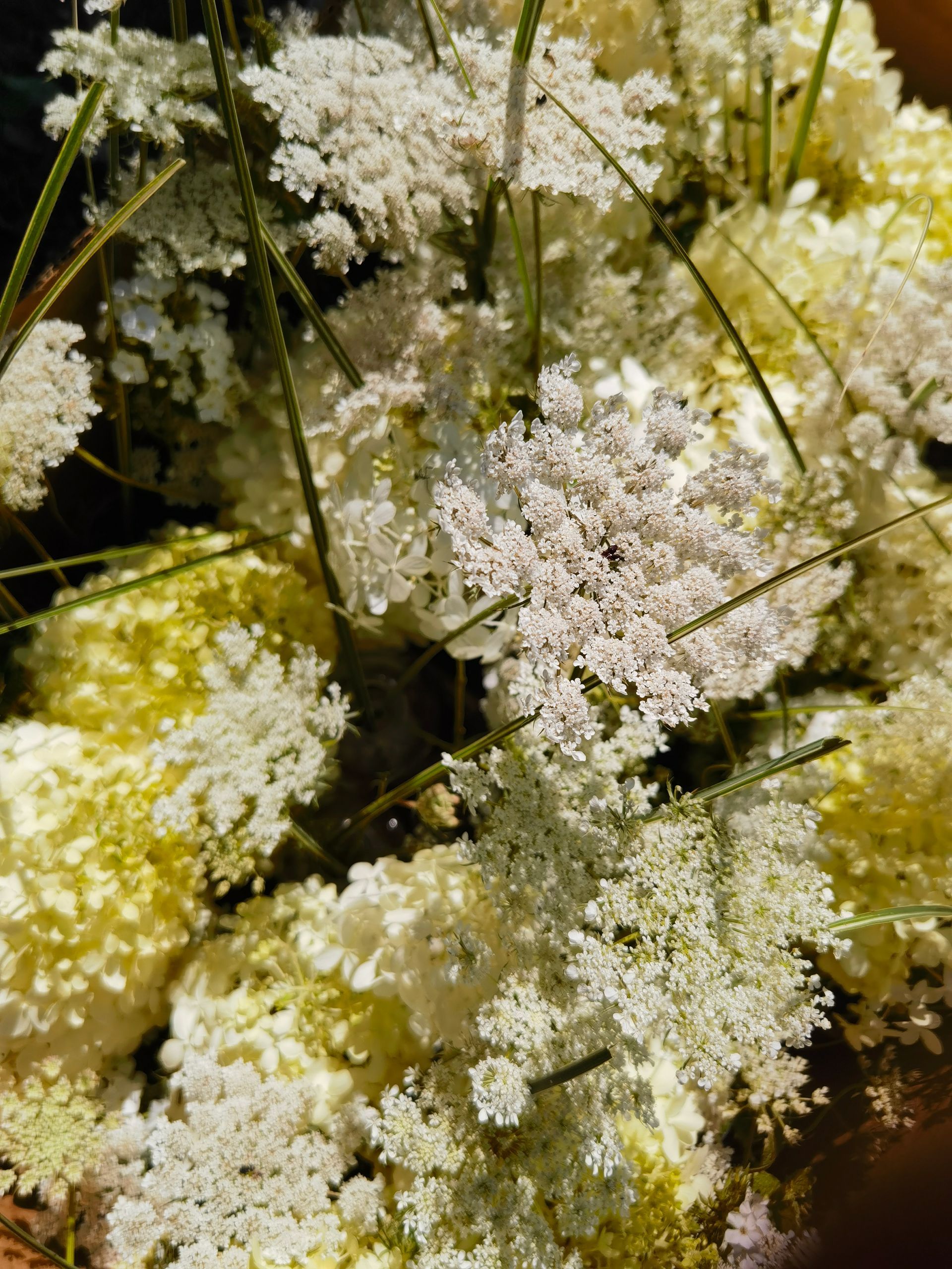 A close up of a bunch of white flowers in a bowl.
