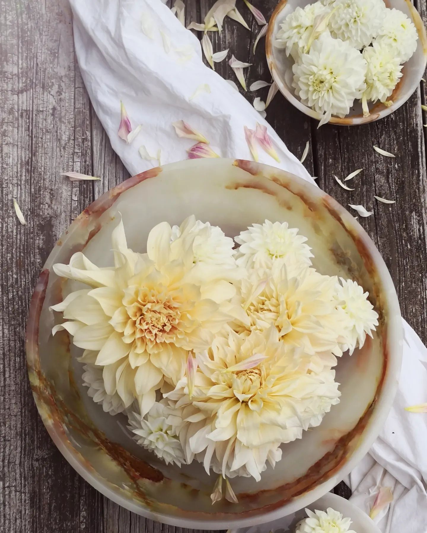 A bowl of white flowers on a wooden table