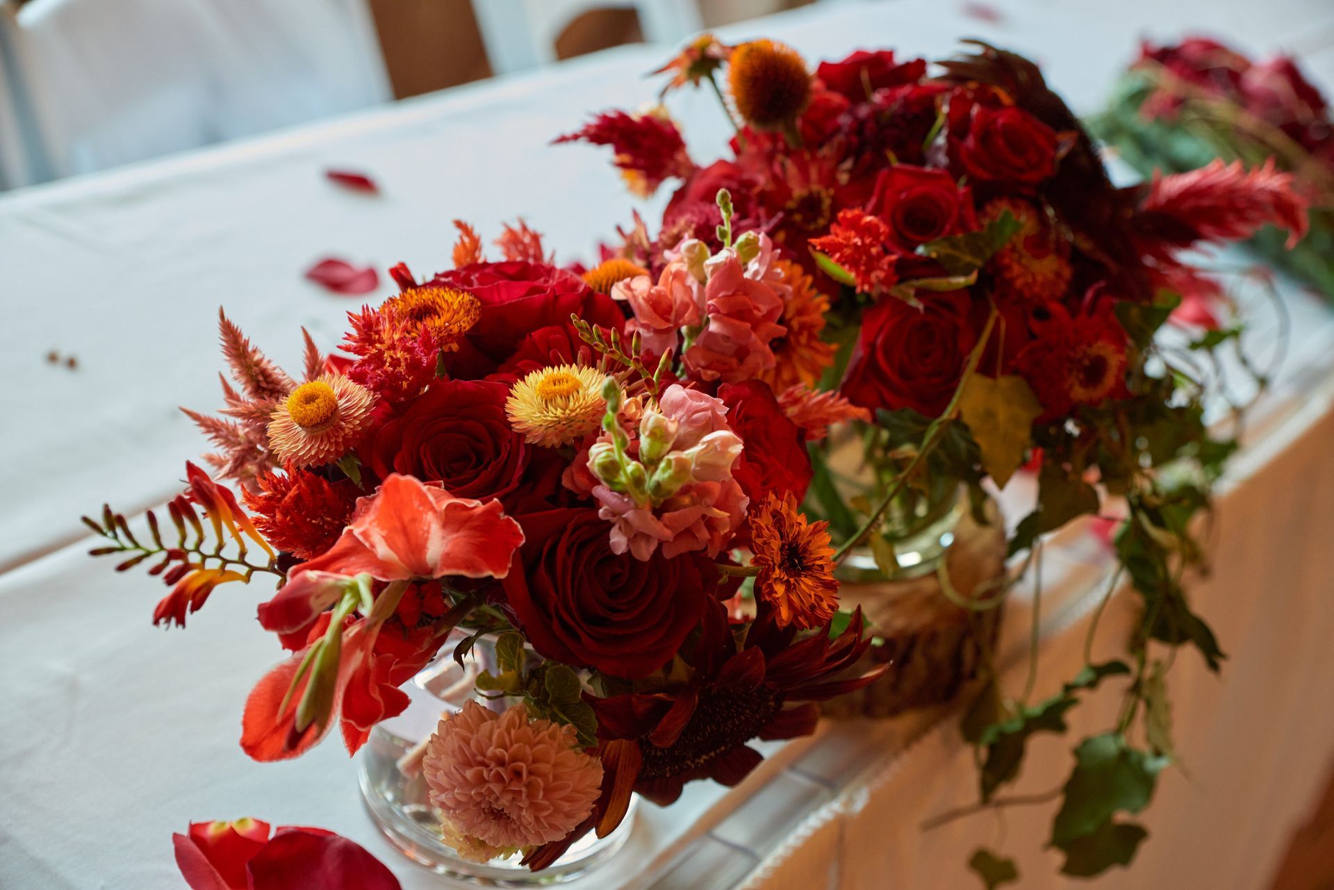 A vase filled with red flowers is on a table.