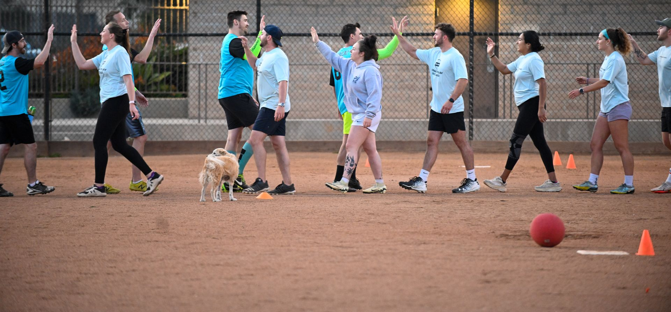 Baseball on a dark surface, with visible stitching.