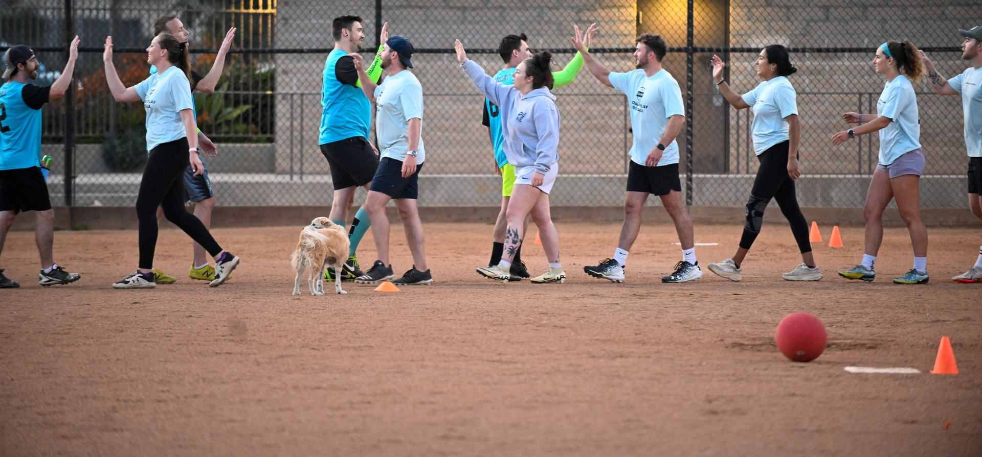 Baseball on a dark surface, with visible stitching.