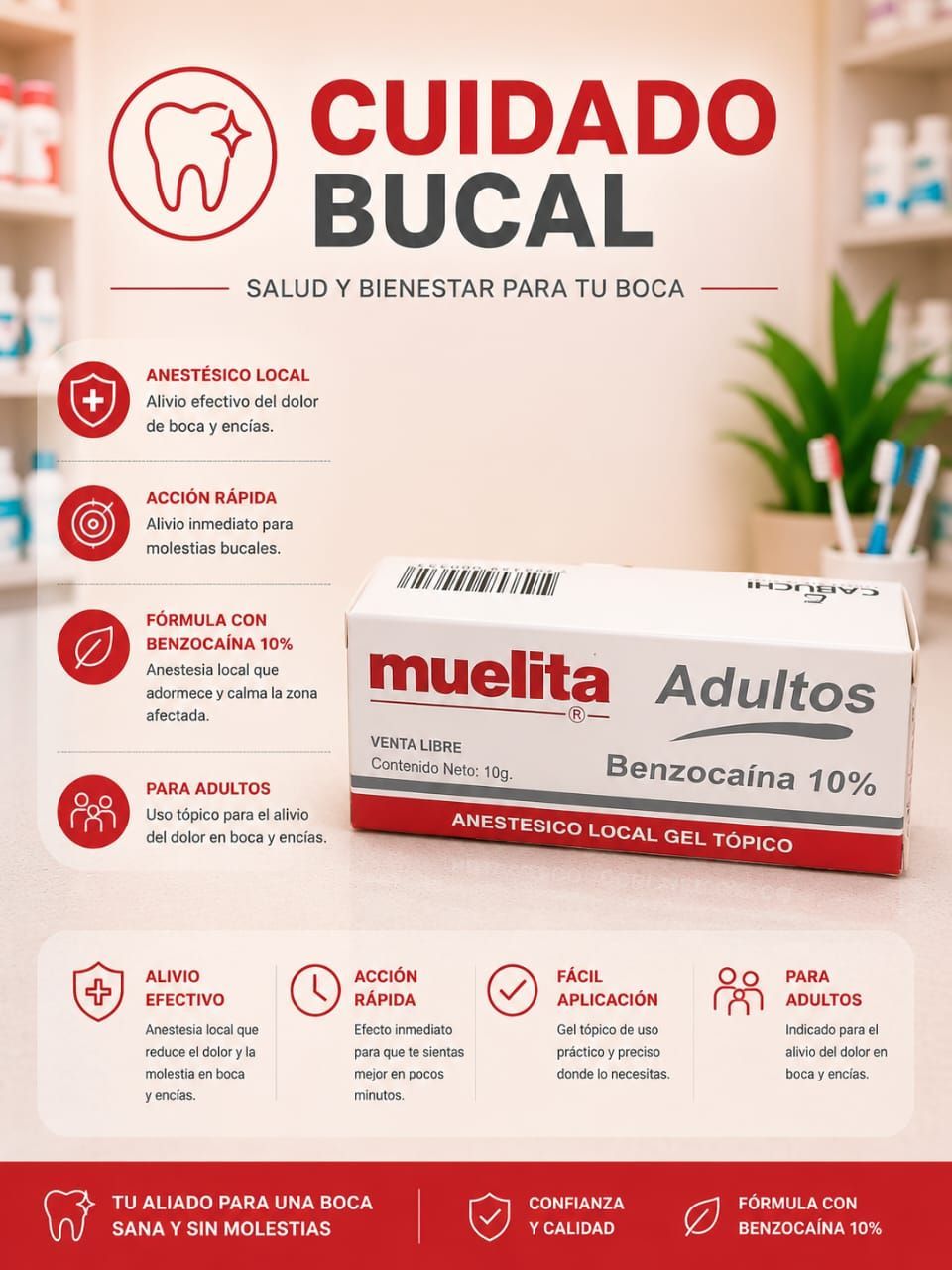 Muelita adulto
