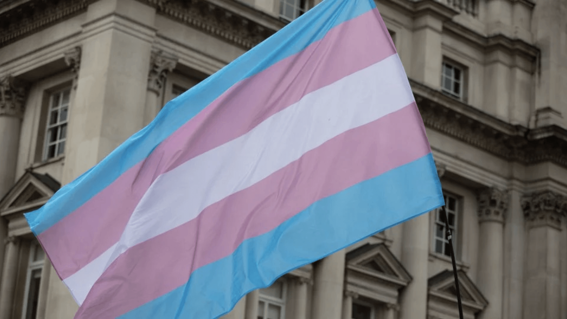 Photograph of the Transgender flag