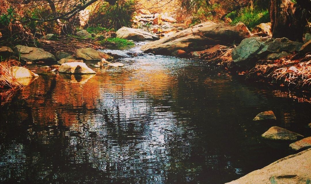 pond of water with a small waterfall down rocks