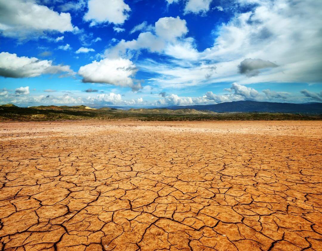 arid desert ecosystem with cracked dirt and a cloudy blue sky