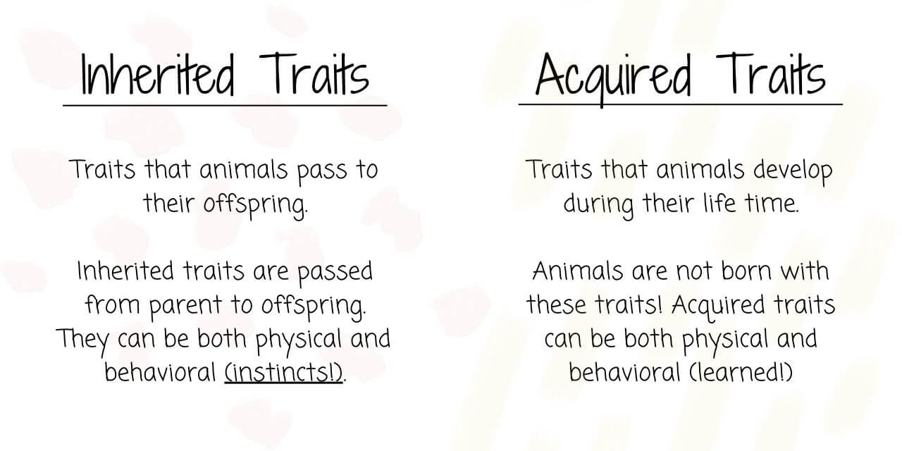 inherited vs acquired traits
