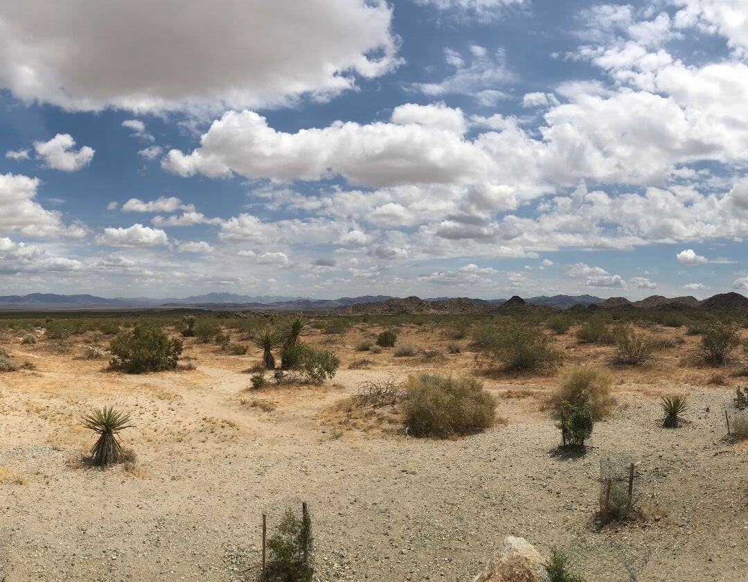semi-arid desert with scattered shrubs and a cloudy blue sky