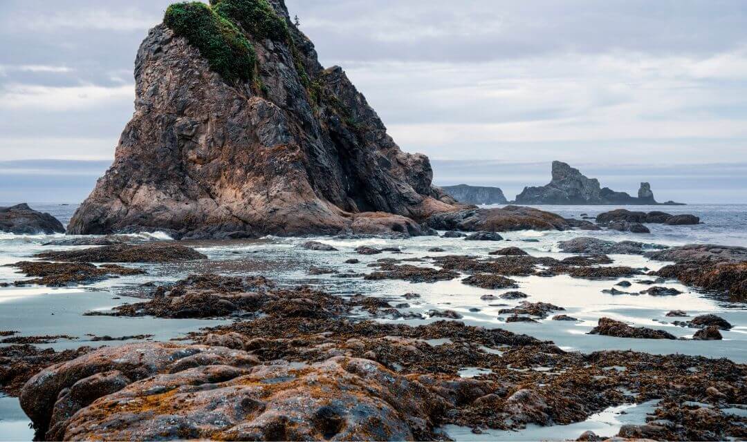 tide pools emerging from a receding rocky shoreline