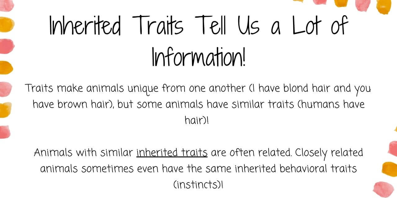 animals that are related have similar inherited traits