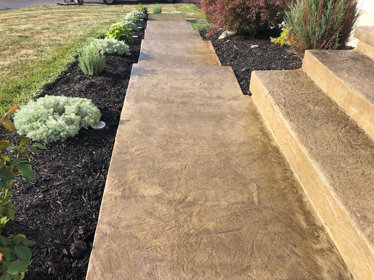 Concrete walkway with dark mulch borders and steps to a house entrance, greenery present.