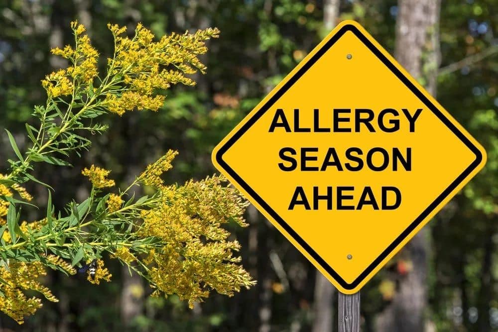 AC Installation To Prevent Allergies in Norfolk, VA