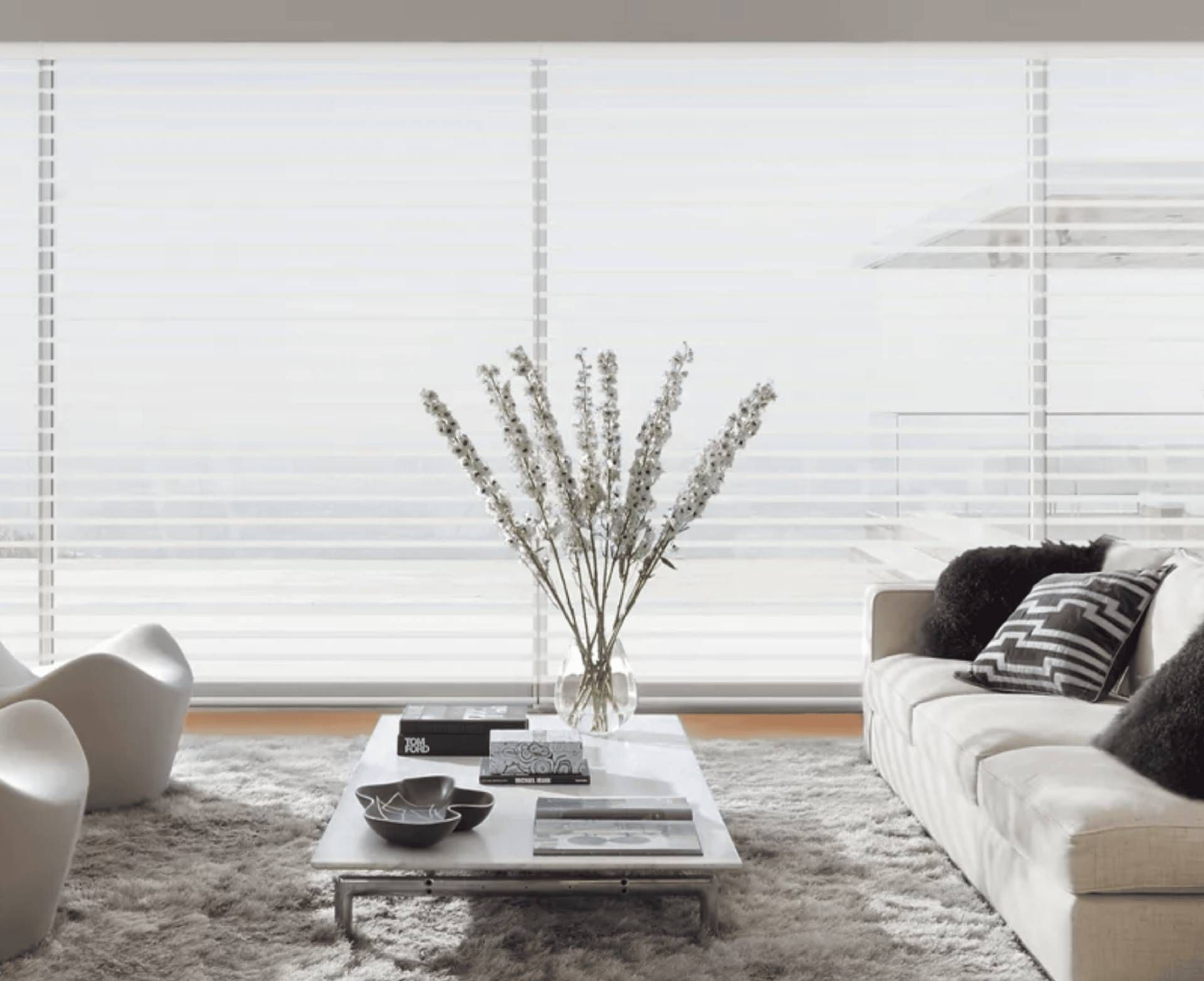 Hunter Douglas Silhouette® Sheer Shades covering a large living room window near Fort Myers, FL
