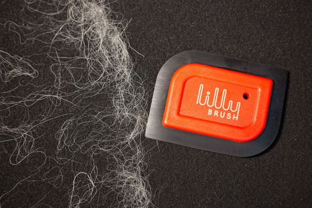 Lilly Brush Mini Detailer Pet Hair Remover