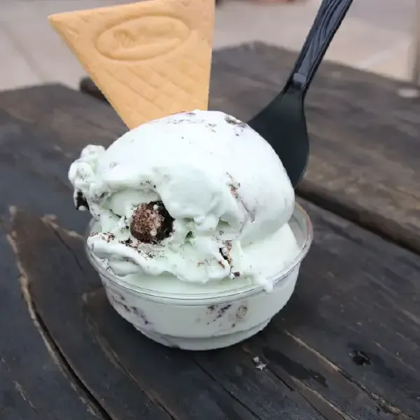 Super chix mint oreo custard small cup.