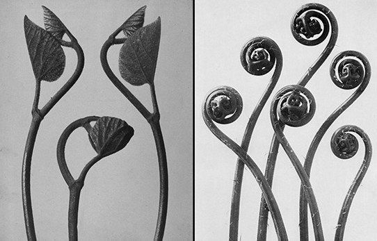 Global regulatory compliance