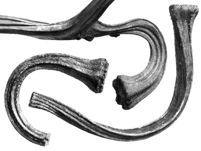 See through financial complexity