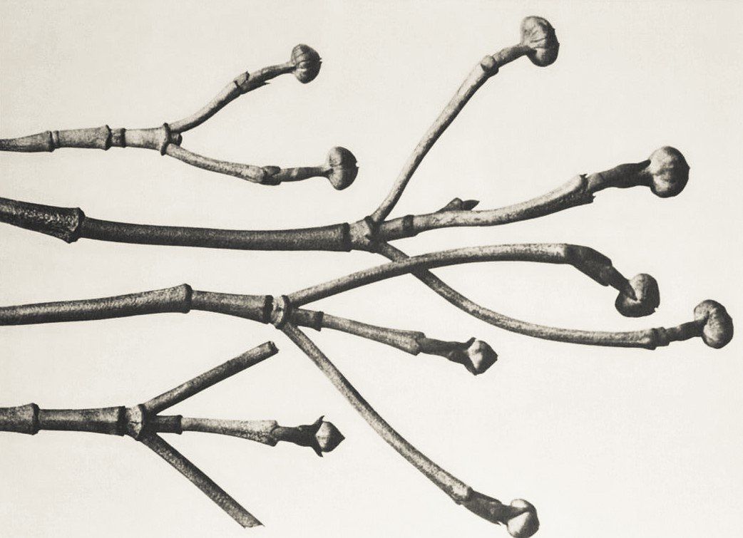 Invest at the foundations of growth