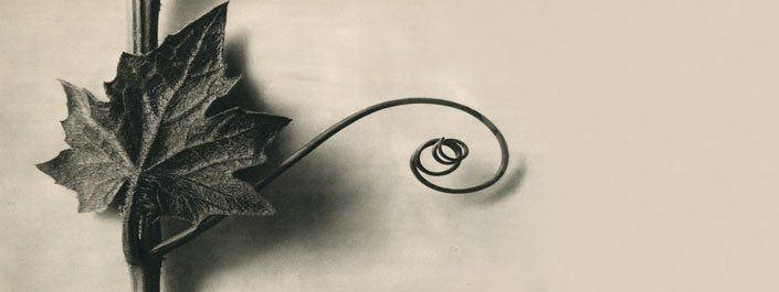 Deviation is the new normal