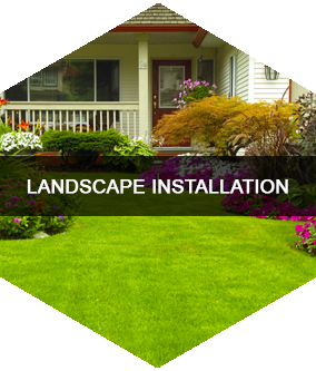 Landscape Installation