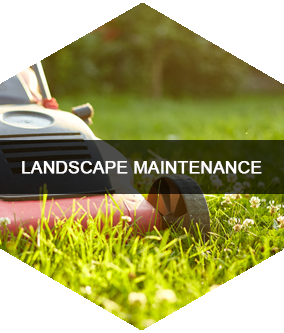 Landscape Maintenance