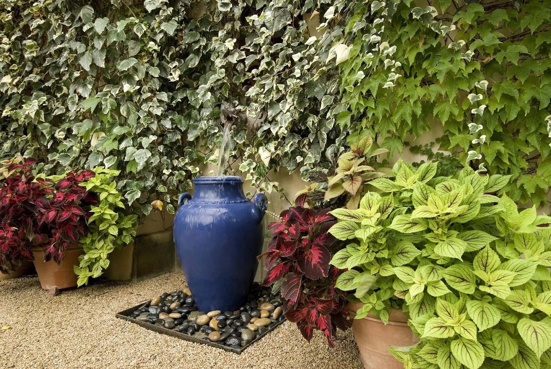 5 Steps To Add Beautiful Climbing Vines to Your Landscape
