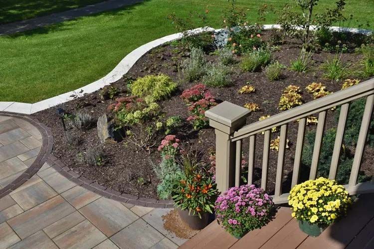 Landscape Installation 1