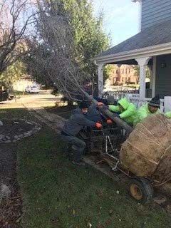 Landscape Installation 15