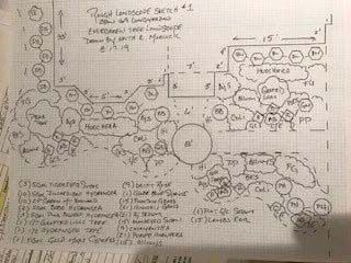 Landscape Installation 19