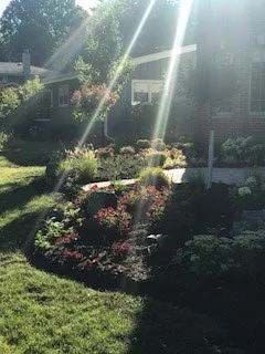 Landscape Installation 21