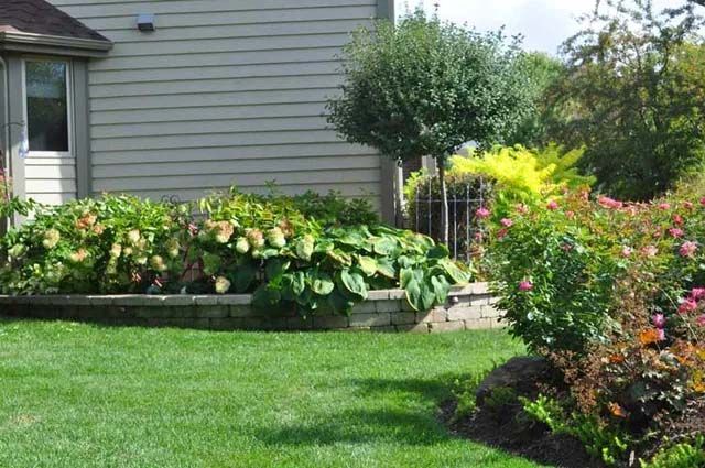 Landscape Maintenance  1