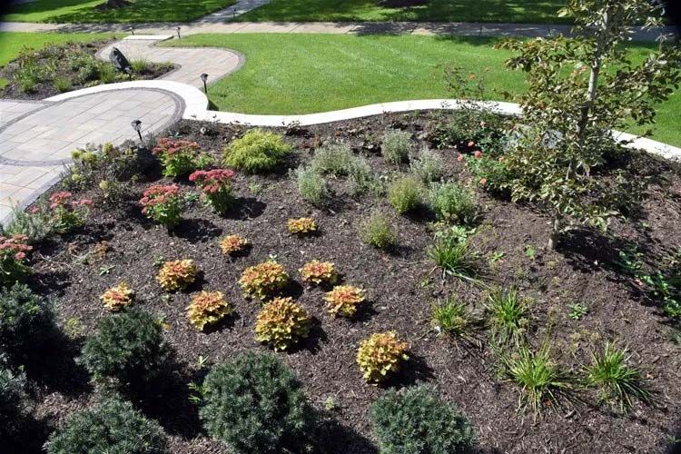 landscape maintenance 1