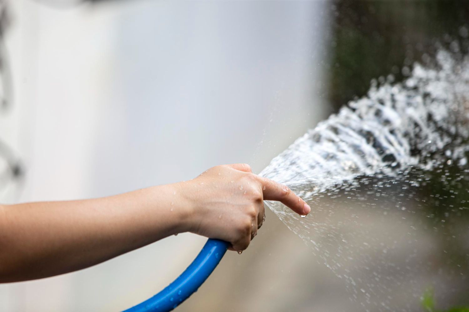 Person's hand holding a blue hose, water spraying out.