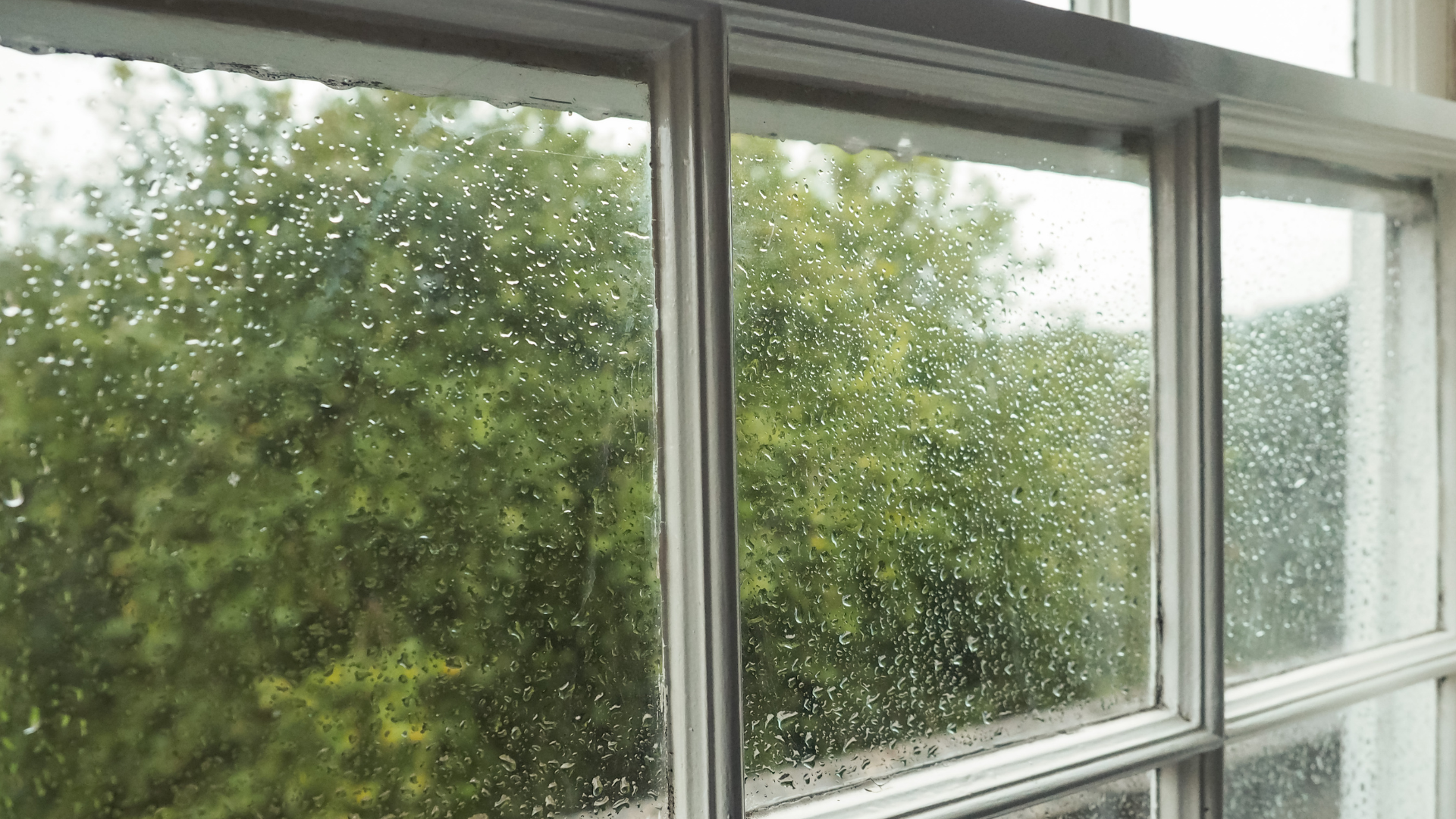 A man is standing on a ladder cleaning a window.