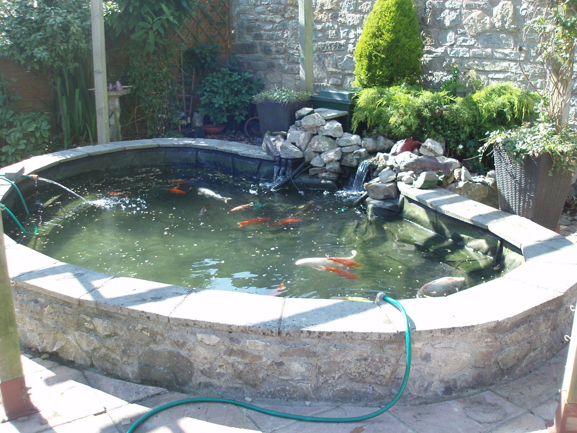 Pond Accessories | Bridgwater | Perfect Ponds Plus