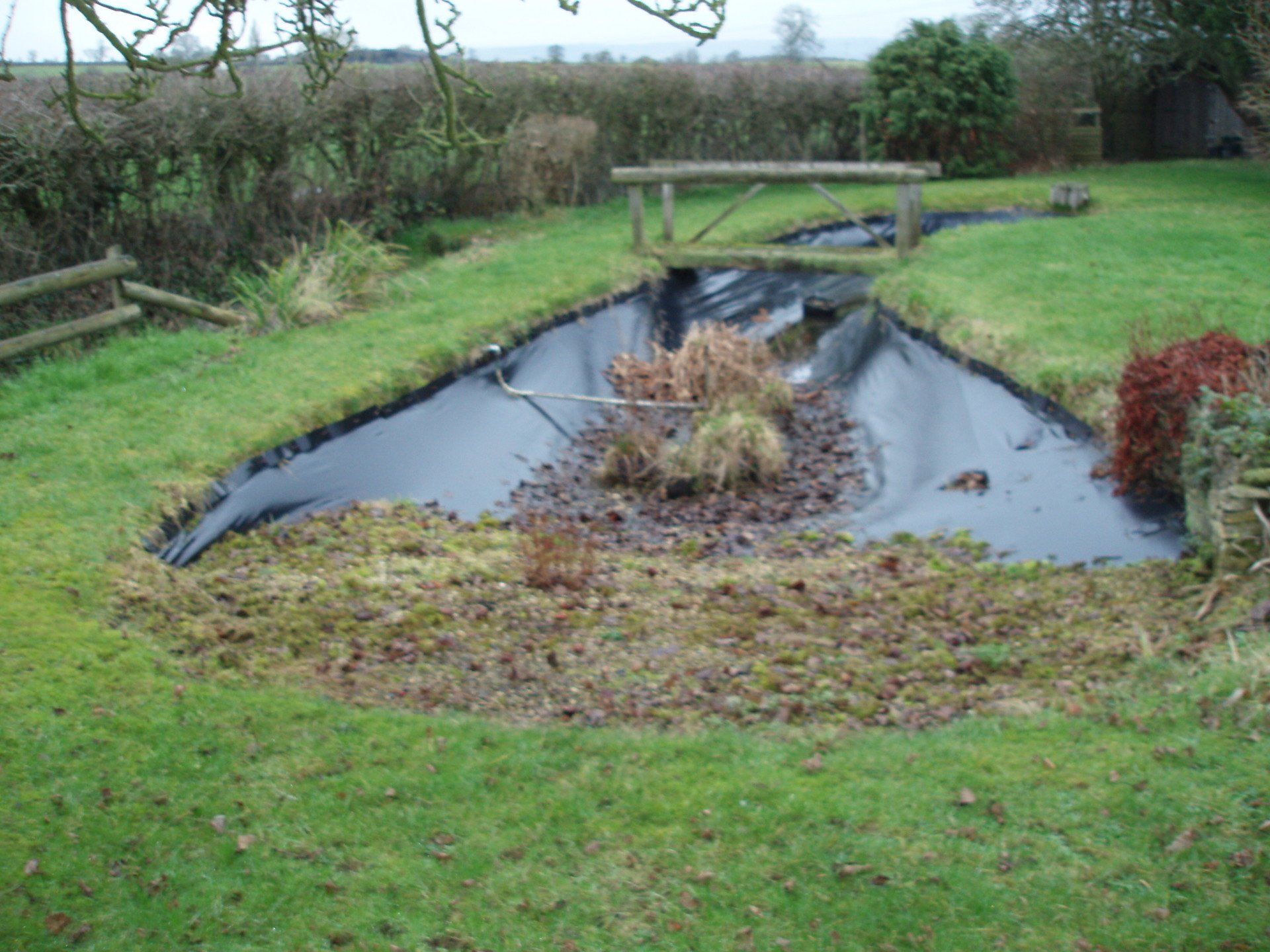 pond on lawn