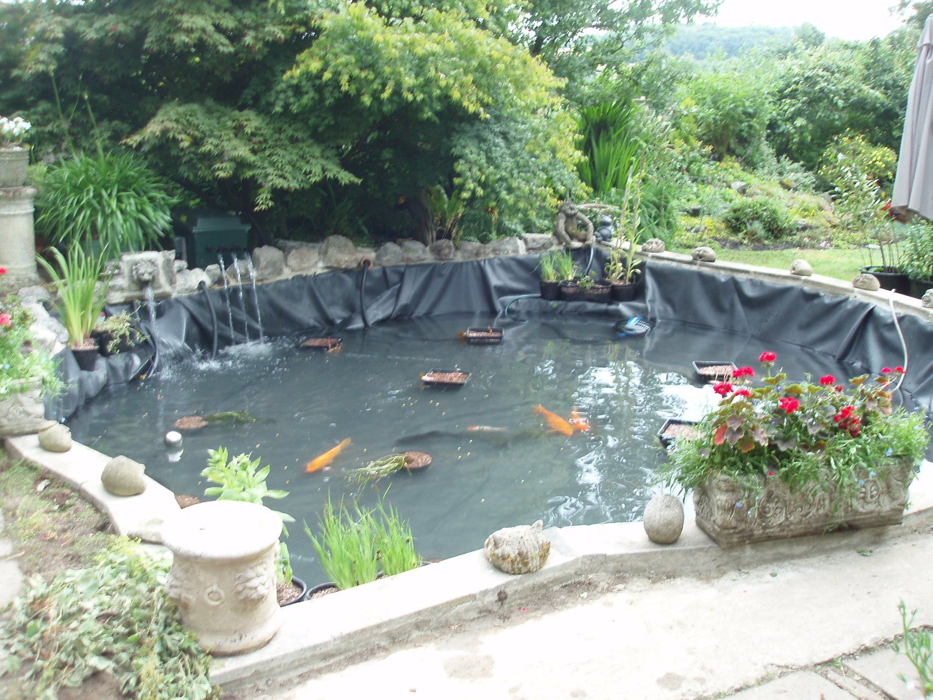 pond maintenance