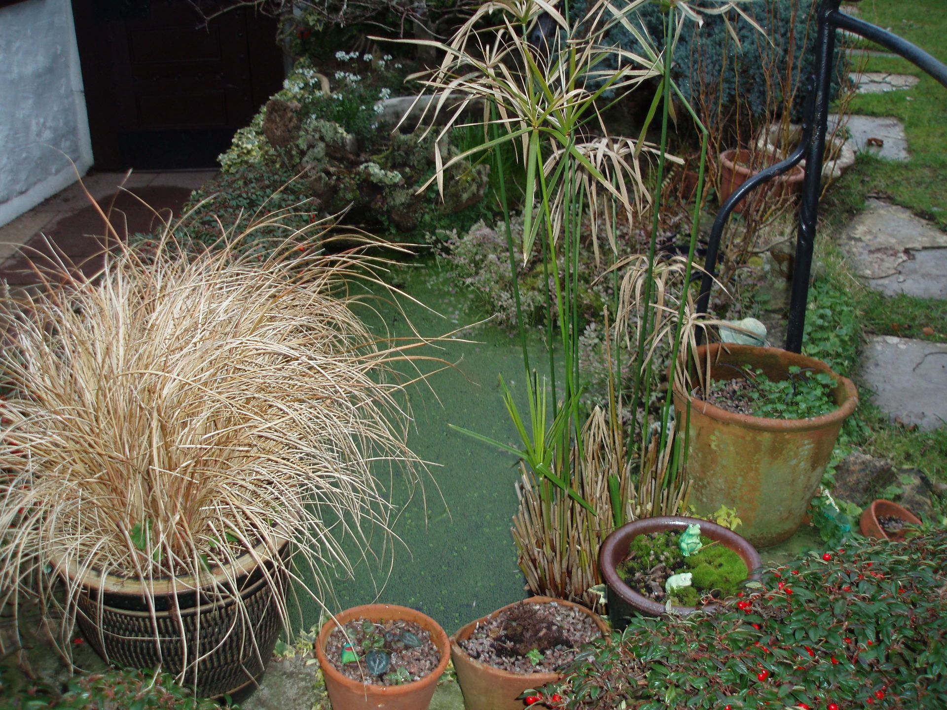 pond with plant pots