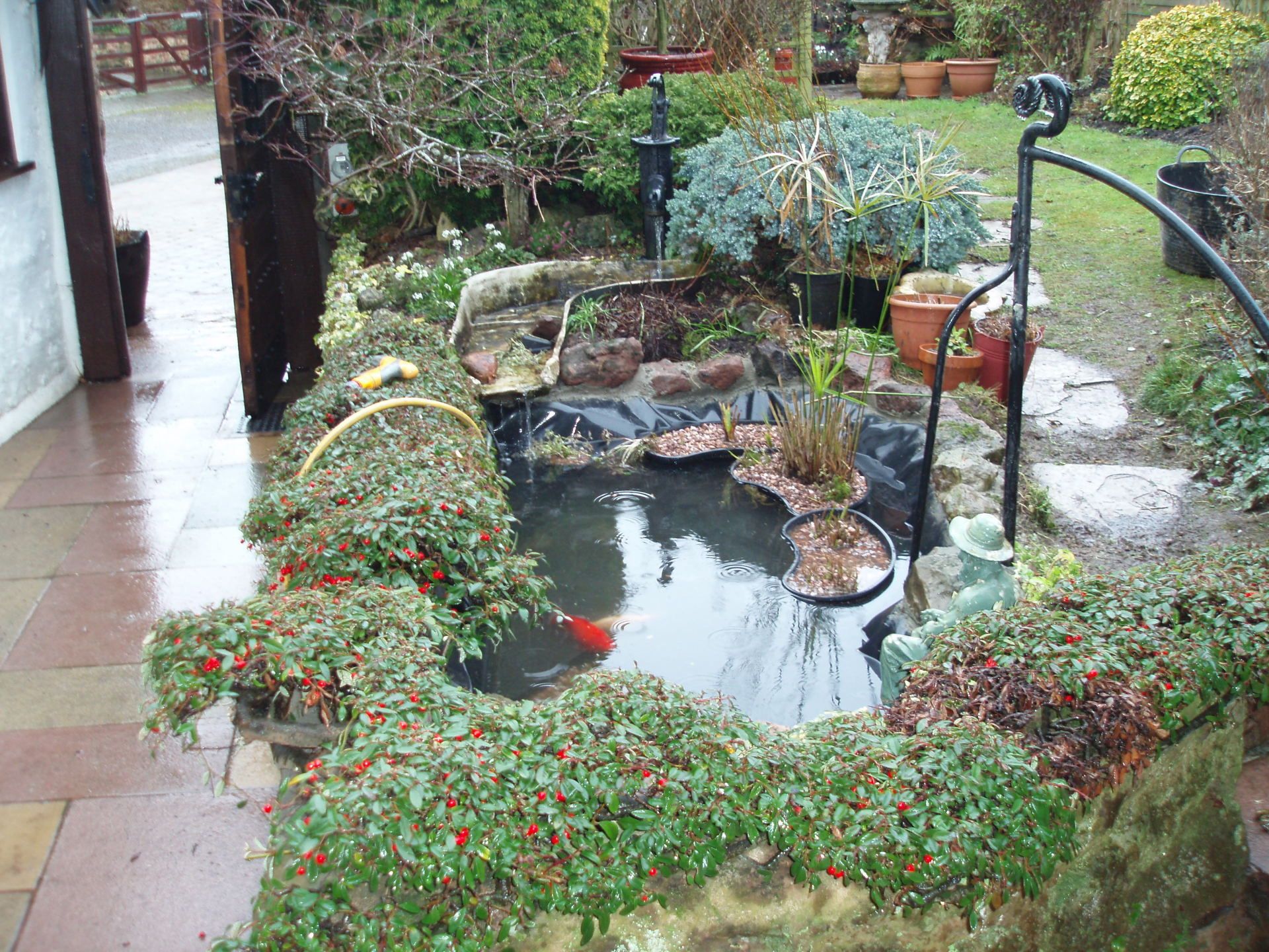 Pond Accessories Bridgwater Perfect Ponds Plus